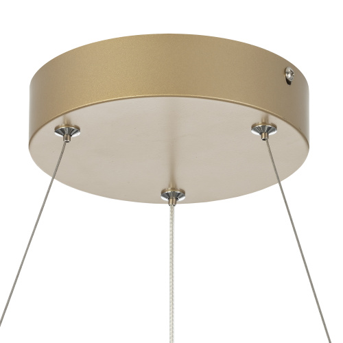 Citilux EVA CL210132 Подвесная светодиодная люстра фото 11 Citilux EVA CL210132 Подвесная светодиодная люстра фото 11