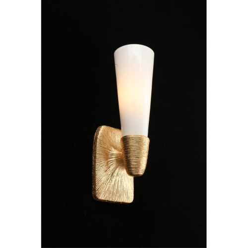 Светильник настенный (Бра) APL.800.01.01 фото 4