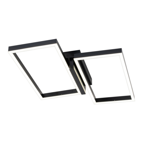 Потолочный светильник Escada 10209/2 LED*60W Black Потолочный светильник Escada 10209/2 LED*60W Black