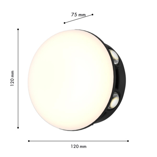 Уличный настенный светильник Favourite Option 4853-1W фото 2