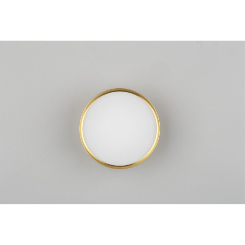 Светильник встраиваемый-накладной OML-103329-12 фото 2