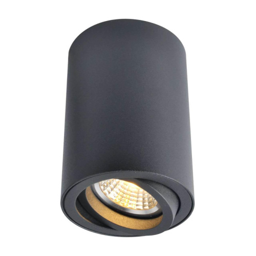Потолочный светильник Arte Lamp A1560PL-1BK Потолочный светильник Arte Lamp A1560PL-1BK