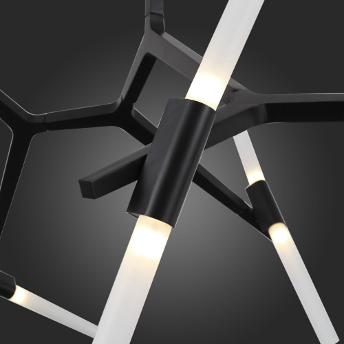 SL947.402.10 Люстра потолочная ST-Luce Черный/Белый G9 10*5W LACONICITA фото 2