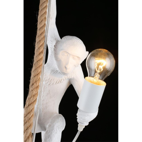 Светильник подвесной APL.309.06.01 фото 15 Светильник подвесной APL.309.06.01 фото 15