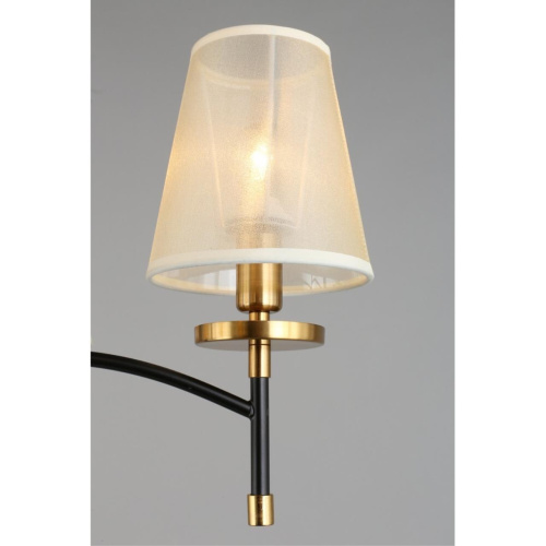 Люстра потолочная OML-67307-05 фото 7 Люстра потолочная OML-67307-05 фото 7