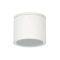 Уличный потолочный светильник Arte Lamp PIAUTOS A1913PF-1WH