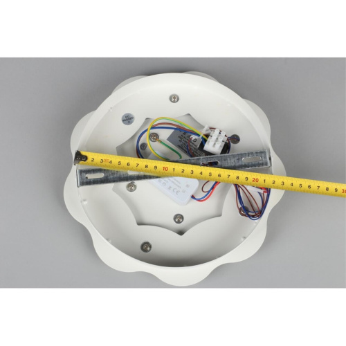 Светильник настенный (Бра) OML-07901-26 фото 5