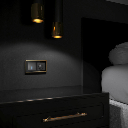 Рамка из металла на 2 поста Baguette черный/латунь W0022852 фото 2