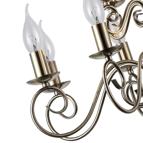 Подвесная люстра Arte Lamp ISABEL A1129LM-12AB фото 3