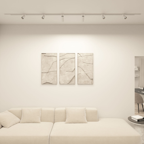 DK6060-BW+BK Трековый светильник IP 20, 15 Вт, GU10, черный с белым, алюминий фото 2