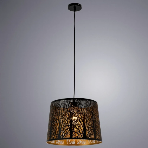 Подвесной светильник Arte Lamp CELESTA A2769SP-1BK фото 2