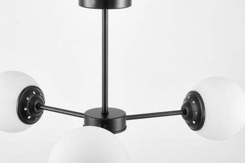 Подвесной светильник Lampit Fino TP 2003-3 BK фото 7 Подвесной светильник Lampit Fino TP 2003-3 BK фото 7