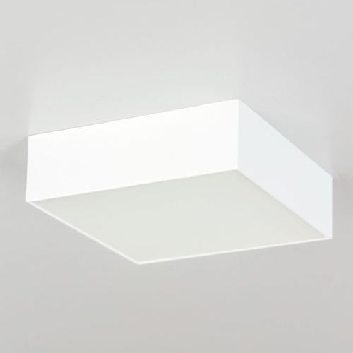 Citilux Тао CL712X120N LED Светильник потолочный с диммером Белый фото 2