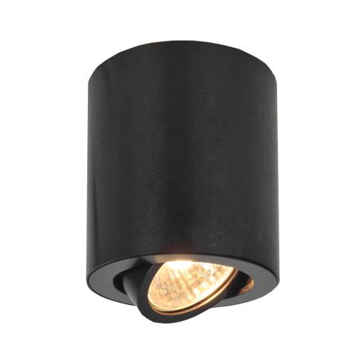 Citilux Дюрен CL538113 Светильник накладной поворотный Черный Citilux Дюрен CL538113 Светильник накладной поворотный Черный