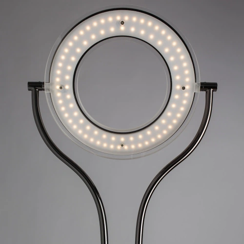 Торшер Arte Lamp DUETTO LED A5904PN-2SS фото 4 Торшер Arte Lamp DUETTO LED A5904PN-2SS фото 4