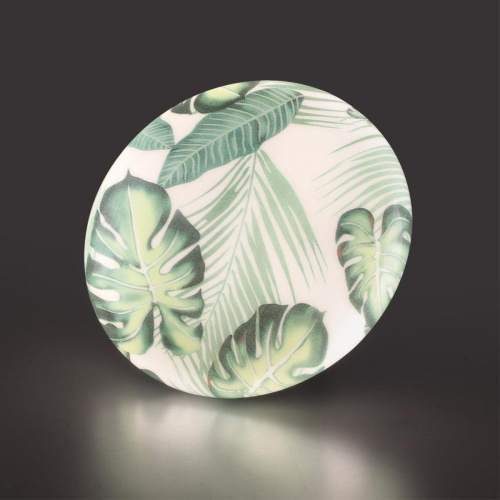 Настенно-потолочный светодиодный светильник Sonex Pale Flori 7748/CL фото 3