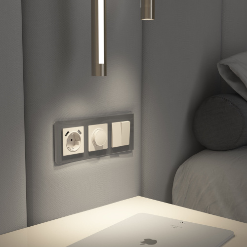 Диммер (айвори матовый) W1142062 фото 3