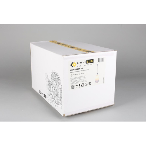 Светильник подвесной OML-99226-01 фото 6