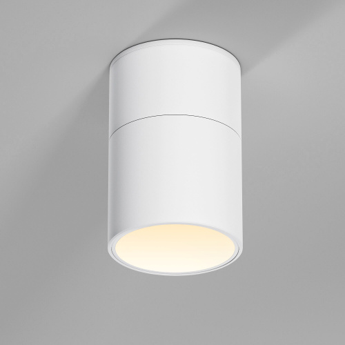 Светильник потолочный поворотный светодиодный Rolly 9W 3000K белый 25112/LED фото 4