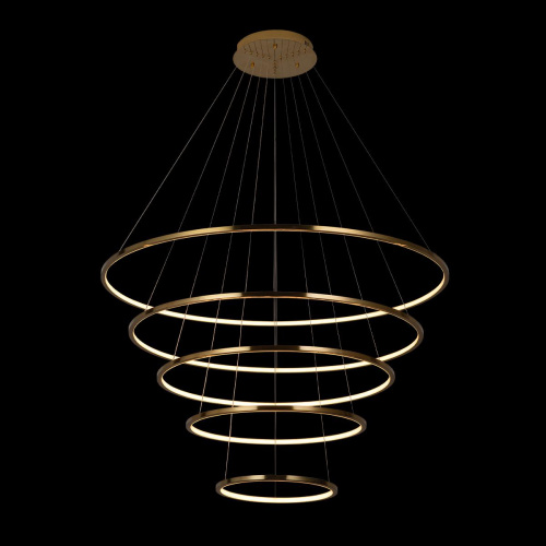 10015/5 Подвесной светильник LOFT IT Ring фото 5