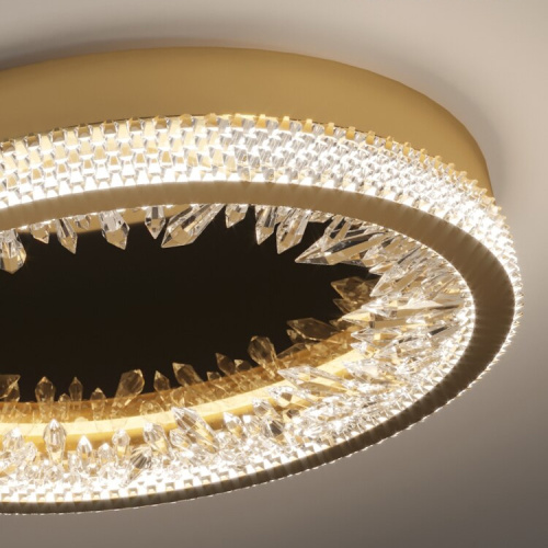 Настенный/Потолочный светильник XD-50 gold фото 3