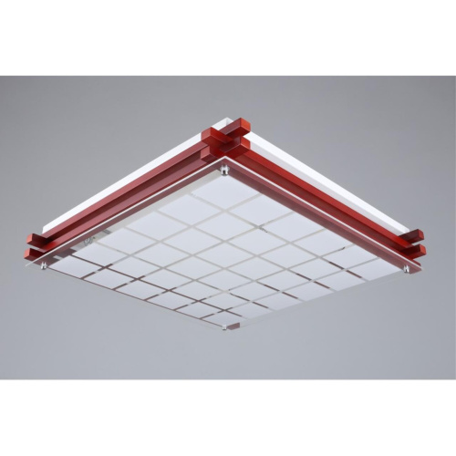 Светильник настенно-потолочный OML-40527-05 фото 3