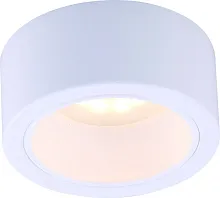 Точечный накладной светильник Arte Lamp EFFETTO A5553PL-1WH