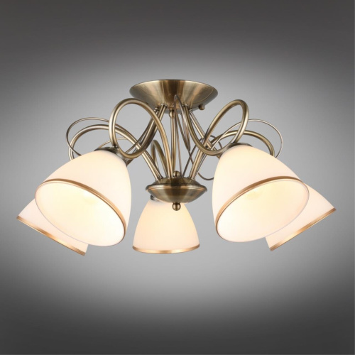 Люстра потолочная OML-25307-05 фото 3 Люстра потолочная OML-25307-05 фото 3