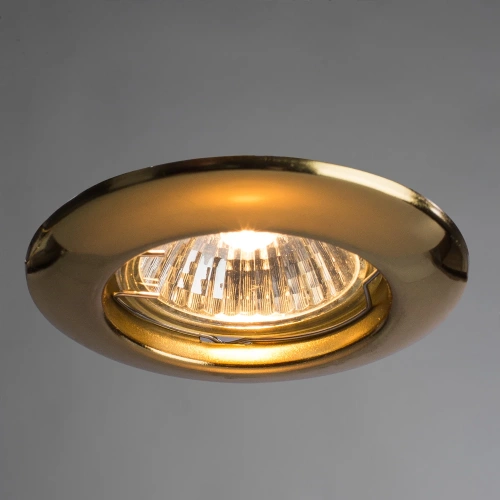 Точечный встраиваемый светильник Arte Lamp PRAKTISCH A1203PL-1GO фото 2 Точечный встраиваемый светильник Arte Lamp PRAKTISCH A1203PL-1GO фото 2