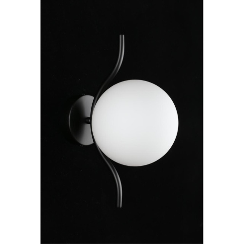 Светильник настенный (Бра) APL.312.01.01 фото 8