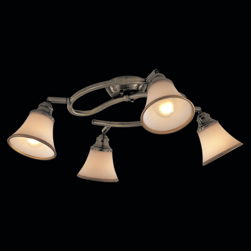 Citilux Прованс CL511143 Спот поворотный Бронза фото 2 Citilux Прованс CL511143 Спот поворотный Бронза фото 2