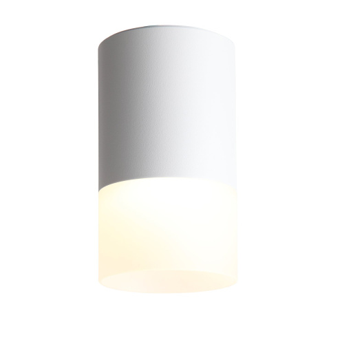 ST100.502.05 Светильник потолочный Белый LED 1*5W 3000K 390Lm Ra>80 120° D64xH110 170-240V Накладные светильники фото 8
