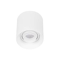 Светильник SP-ACENTO-R95-10W Warm2700 (WH, 20-45 deg, 230V) Arlight 055744