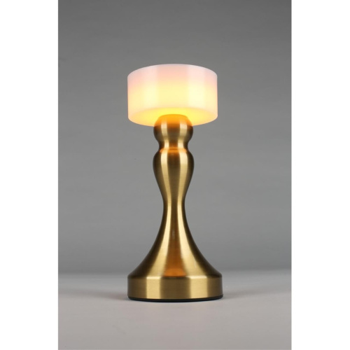 Настольная лампа OML-40304-01 фото 6