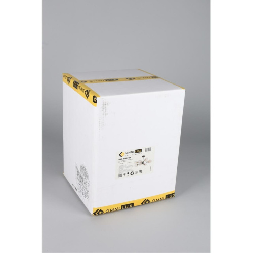 Люстра потолочная OML-67807-08 фото 2