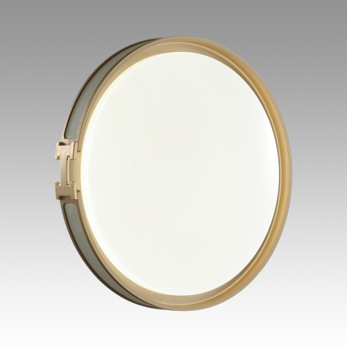 7654/EL COLOR SN 132 Светильник пластик/серый/золот LED 70Вт 3000-6000К D505 IP43 пульт ДУ FAVEMO GREY фото 6