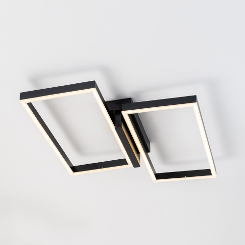 Потолочный светильник Escada 10209/2 LED*60W Black фото 3 Потолочный светильник Escada 10209/2 LED*60W Black фото 3