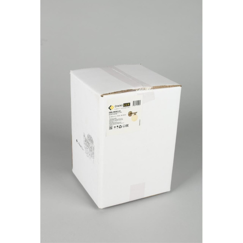 Светильник настенный (Бра) OML-68301-01 фото 2 Светильник настенный (Бра) OML-68301-01 фото 2