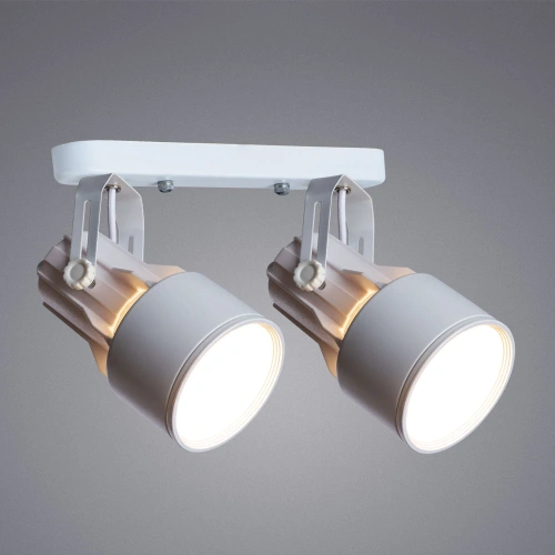 Спот Arte Lamp LYRA A6252PL-2WH фото 2 Спот Arte Lamp LYRA A6252PL-2WH фото 2