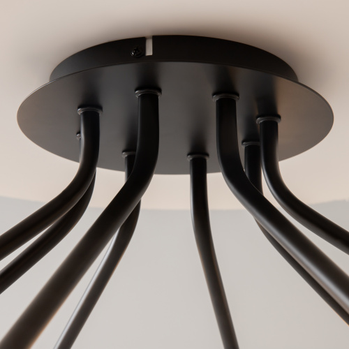 Потолочный светильник Maytoni MOD620CL-16B фото 6