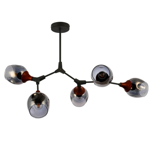 Потолочная люстра Evoluce Ciotolla SLE113402-05 Потолочная люстра Evoluce Ciotolla SLE113402-05