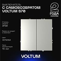 Выключатель с самовозвратом встраиваемый Voltum S70 двухклавишный 10А, (сталь) VLS020605