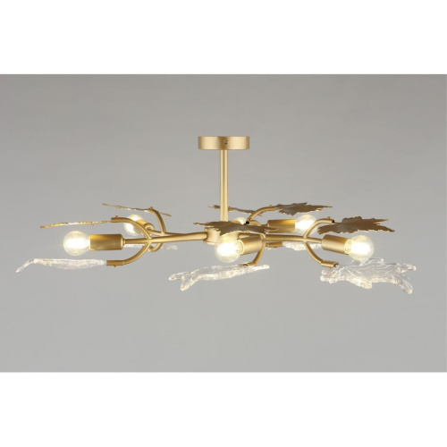 Люстра потолочная OML-52707-06 фото 2 Люстра потолочная OML-52707-06 фото 2