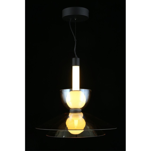 Светильник подвесной APL.772.06.12 фото 4 Светильник подвесной APL.772.06.12 фото 4