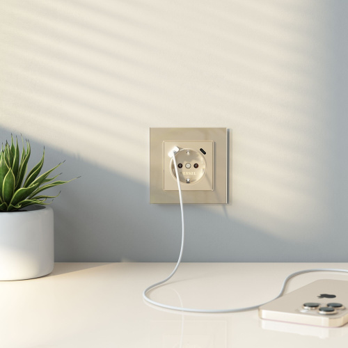 Рамка из стекла на 1 пост Favorit шампань W0011111 фото 4 Рамка из стекла на 1 пост Favorit шампань W0011111 фото 4