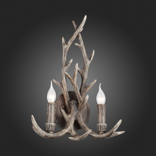 SL154.701.02 Бра ST-Luce Серый E14 2*40W CORNA фото 6