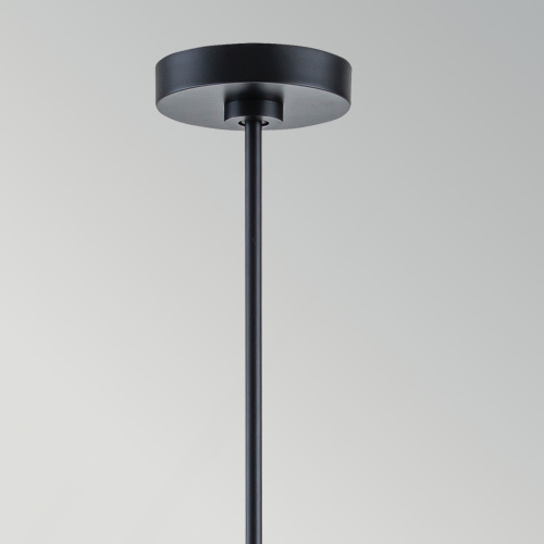 Люстра Generation Lighting, Арт. FE-BRIANNA9-BK фото 7