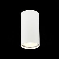 ST110.507.01 Светильник потолочный Белый GU10 1*50W  D54xH100 220V Без ламп Накладные светильники