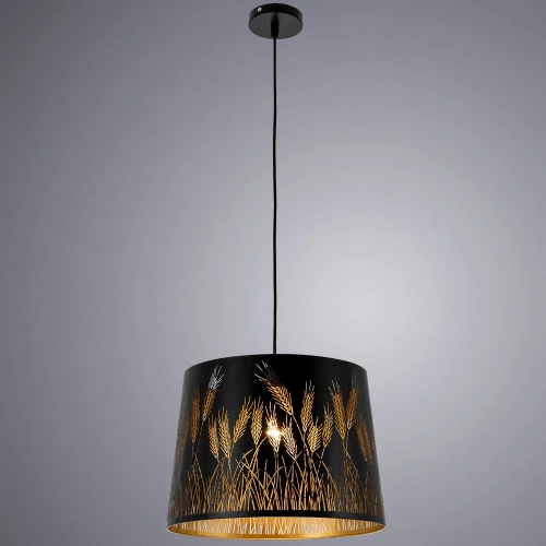 Подвесной светильник Arte Lamp CELESTA A2700SP-1BK фото 2 Подвесной светильник Arte Lamp CELESTA A2700SP-1BK фото 2