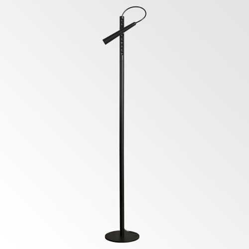 Торшер Lussole Loft Dawson LSP-0576 Торшер Lussole Loft Dawson LSP-0576